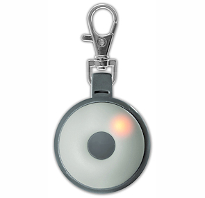 eZone Staff Pendant